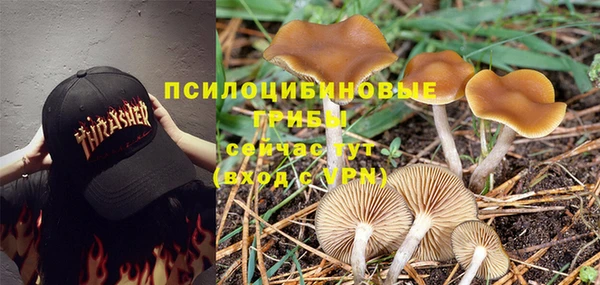 молекула духа Елабуга