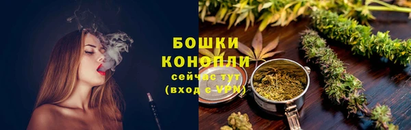 PSILOCYBIN Елизово