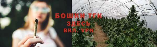 молекула духа Елабуга