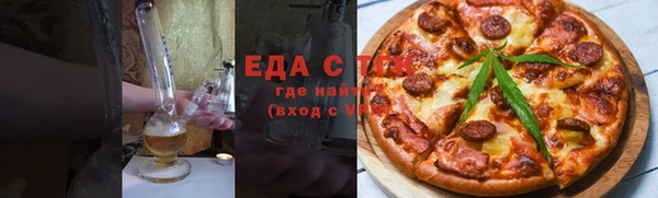гидра Ельня
