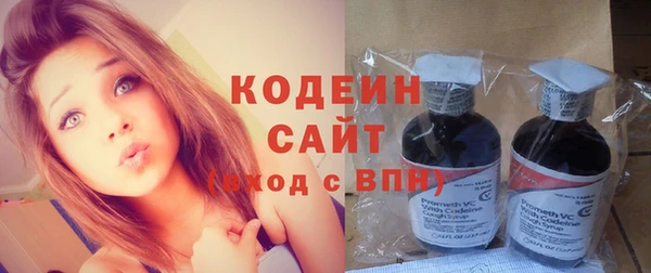 молекула духа Елабуга