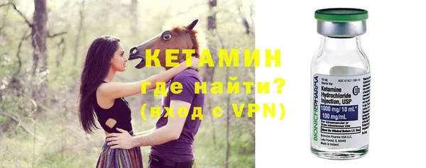 гидра Ельня