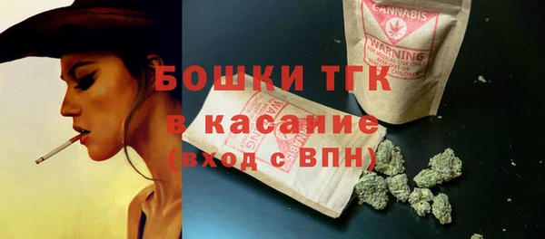молекула духа Елабуга
