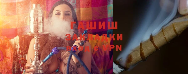 гидра Ельня