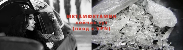 гидра Ельня