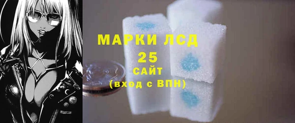 гидра Ельня