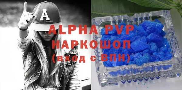 гидра Ельня