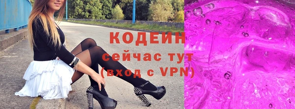 гидра Ельня