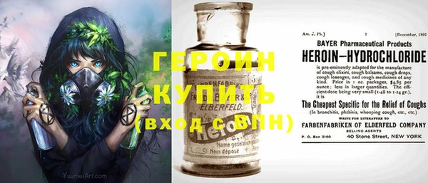 гидра Ельня