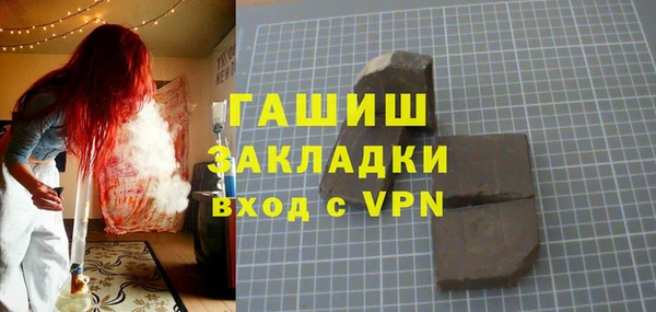 гидра Ельня