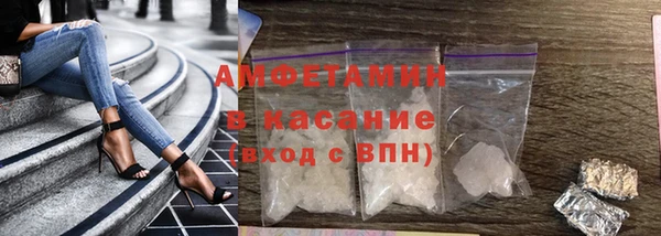 гидра Ельня