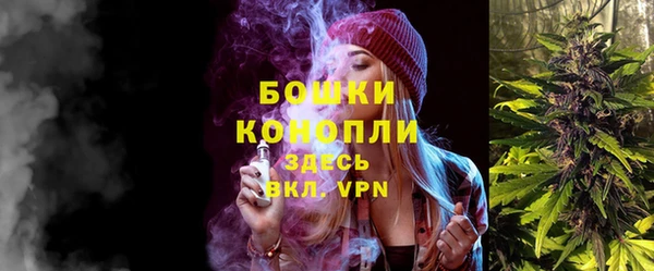 гидра Ельня