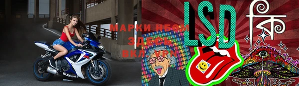 молекула духа Елабуга