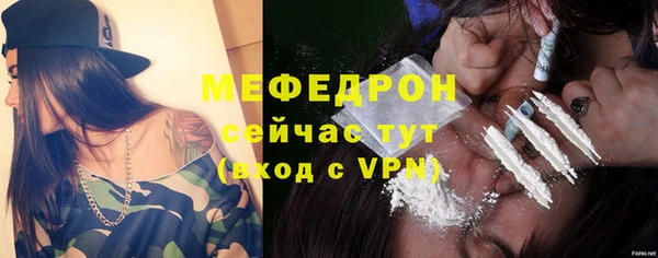 гидра Ельня