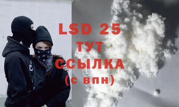 молекула духа Елабуга