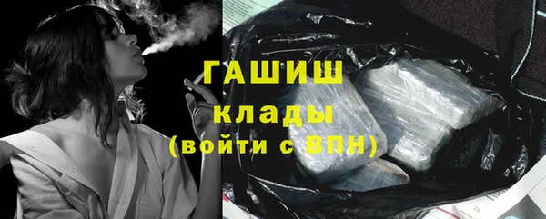 гидра Ельня
