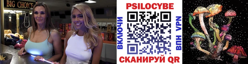 Псилоцибиновые грибы Cubensis  Купить где  Астрахань 