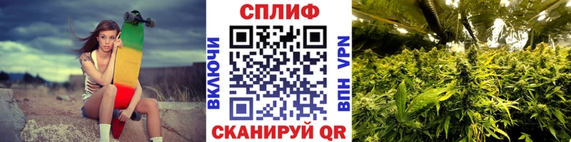 Купить где  Астрахань  Марихуана марихуана 